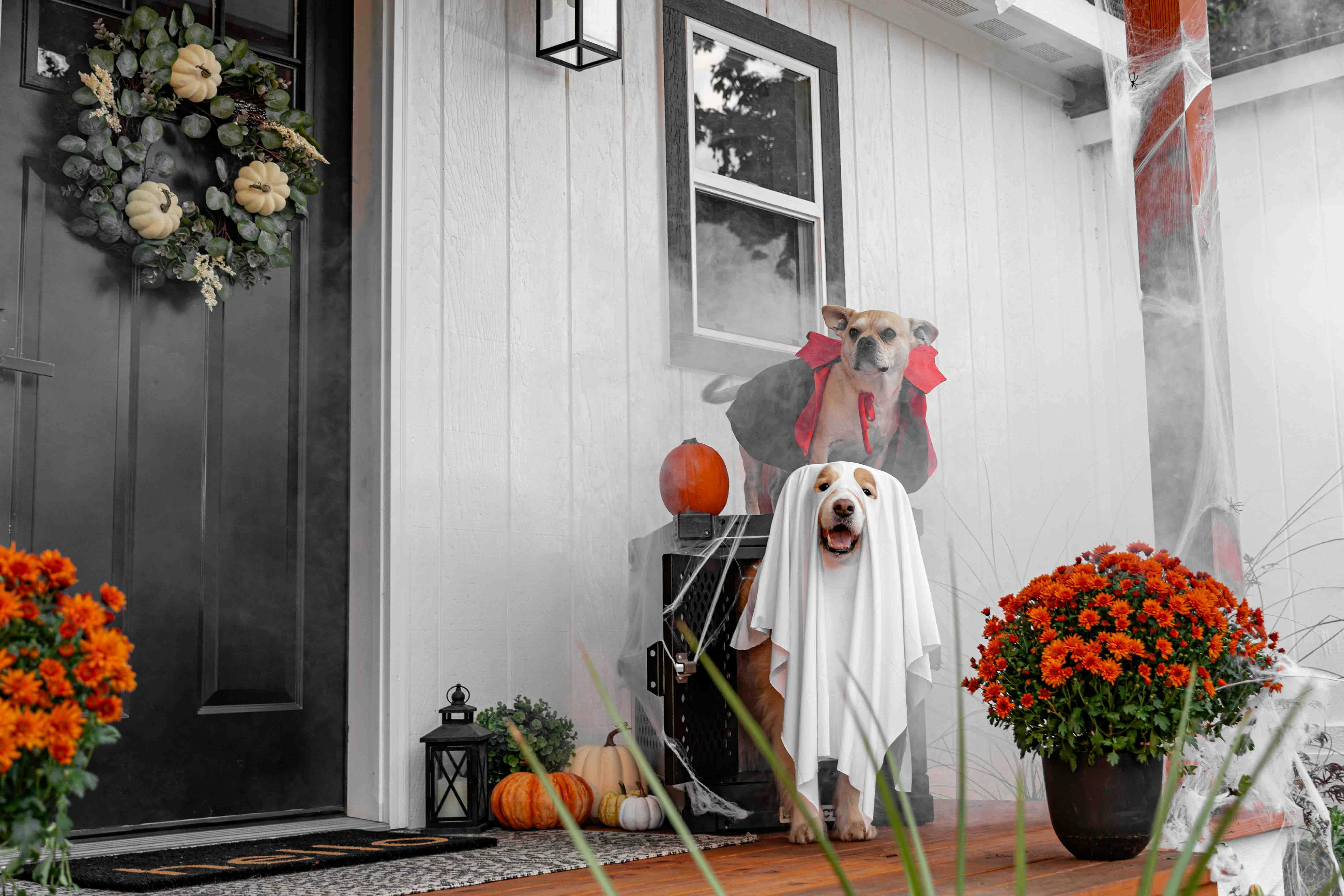 From Ghosted to Booked: Win Back Website Visitors Before They Vanish